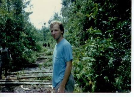 Path through the jungle.