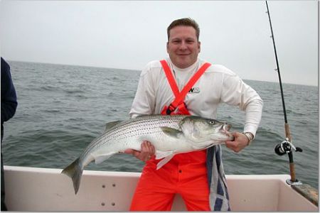 Striped Bass