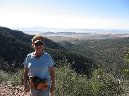 Donnamarie Sayas' album, Arizona