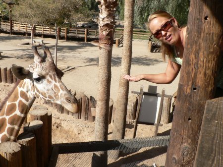 sunny arizona feeding the giraffe (yuckie!!)