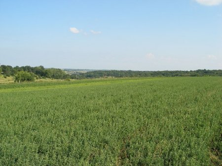 Crescent, IA. property...