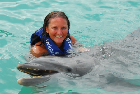 Swimming with the Dolphins