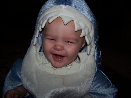 little shark boy