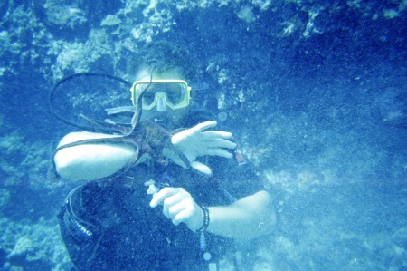 Scuba diving on Kona, Hawaii