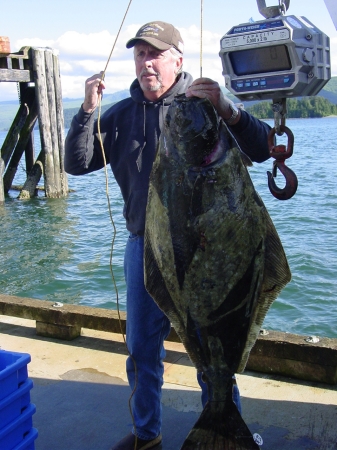 Small Halibut