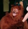 DOUG AS COWARDLY LION