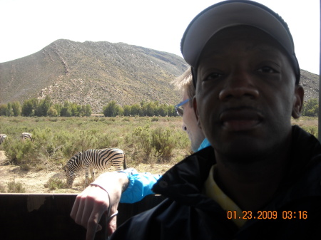 Me & Zebra Background