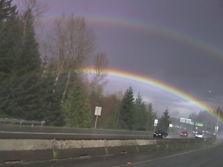 Amazing Rainbows