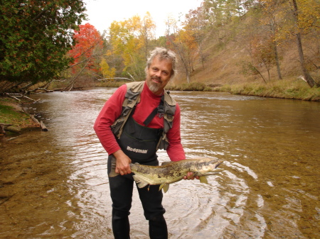 Michigan Salmon