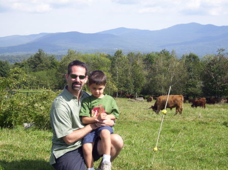 Hairy cows