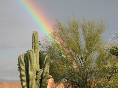 Arizona Rainbow