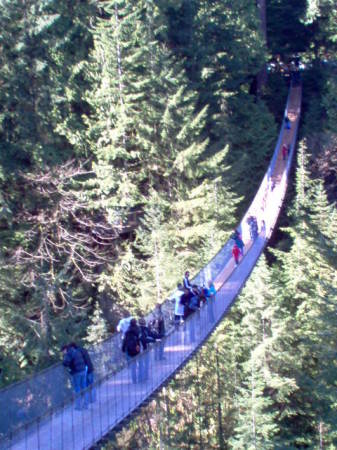 Capilano Suspension bridge