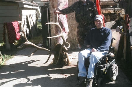 Colorado Bull Elk