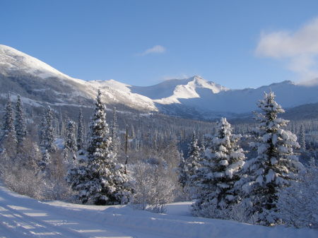 Cheryl's neighborhood in AK