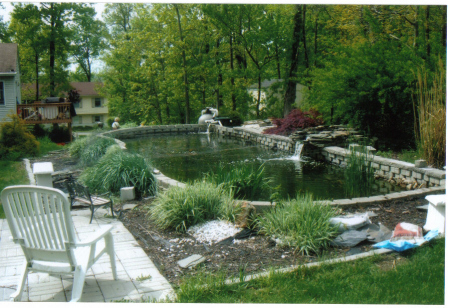 My pond/swimming pool