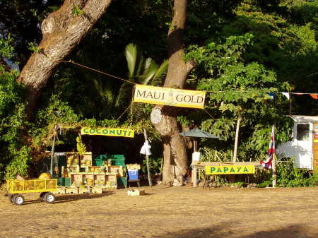 Favorite Fruit Stand