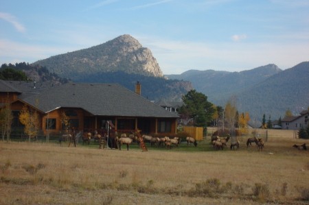 I live in Colorado now, I LOVE it here, No this is not my house...I WISH!!