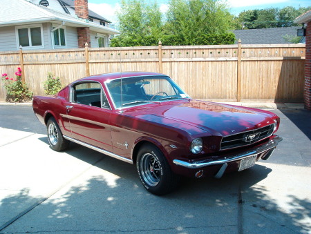 ,65 mustangs my first restoration,