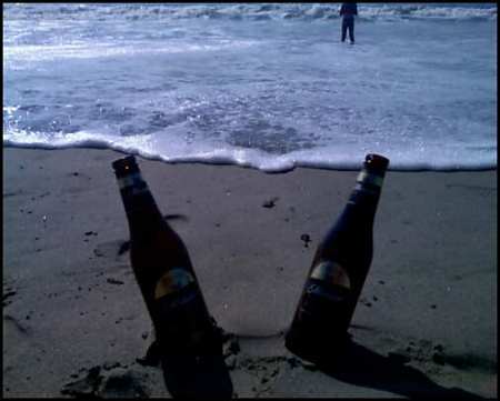 Beach n Brews