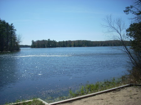 My backyard on a beautiful sunny day.