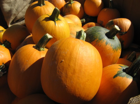 Corrales pumpkins.