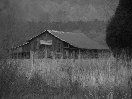 Old barn in black and white