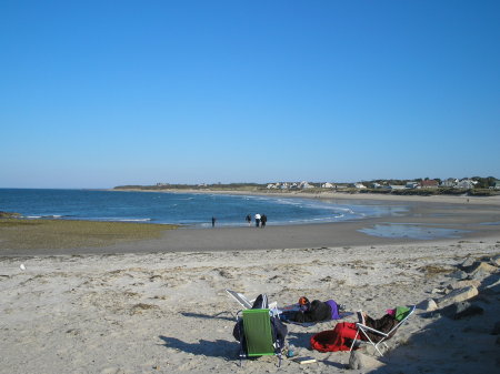 cape cod bay fall of 2006