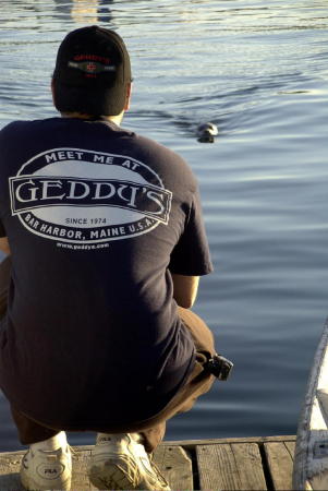 Feeding the harbor seals after lobstering in Maine.