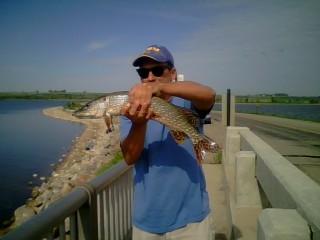 Northern pike fishing by Canadian border