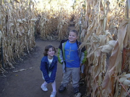 In the Corn Maze - 2006