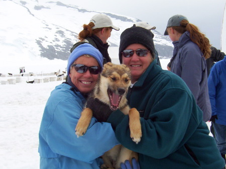 Alaska Dog Sledding Adventure