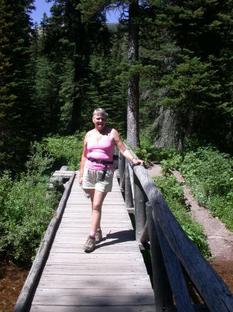 Twin Falls Glacier Nat'l Park