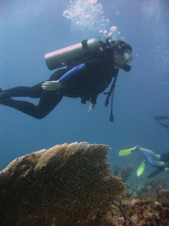 Diving in Cancun