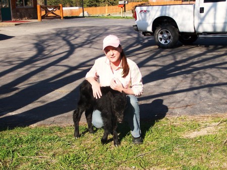 Jana w/lame calf getting fixed