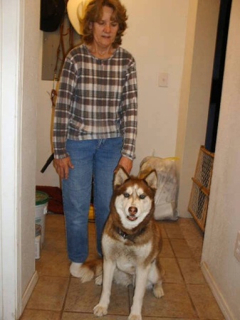 My wife and our siberian husky