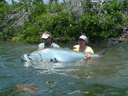 Tarpon Fishing in Charlotte Harbor, Florida