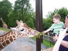 Ethan feeding a giraffe at Baltimore Zoo..