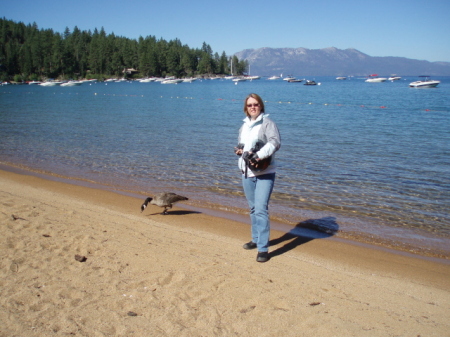 Lake Tahoe, NV