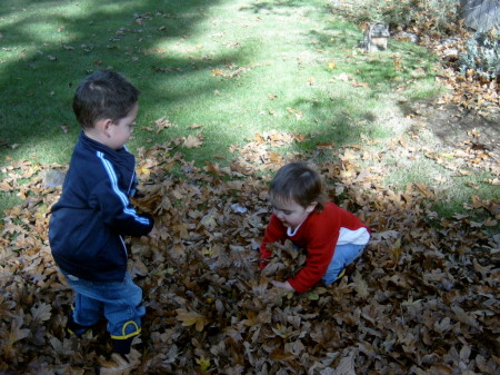 Grandsons in the backyard