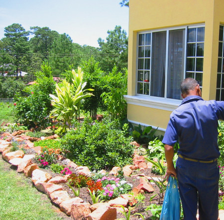 Our flower garden