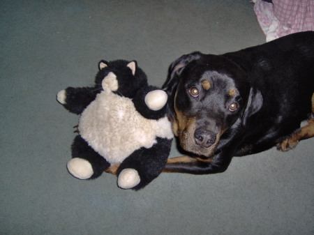 Cheyenne with her kitty