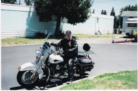 jody-2001-softail harley