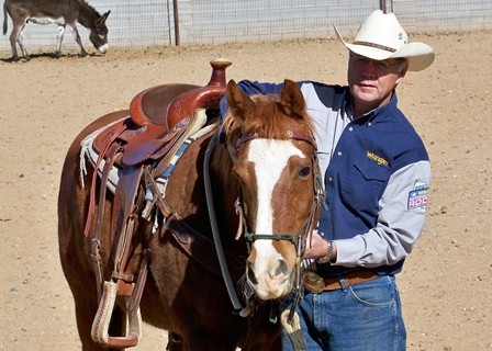 Randy Helm's album, Horses and horse training