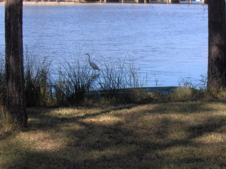 view from the front porch