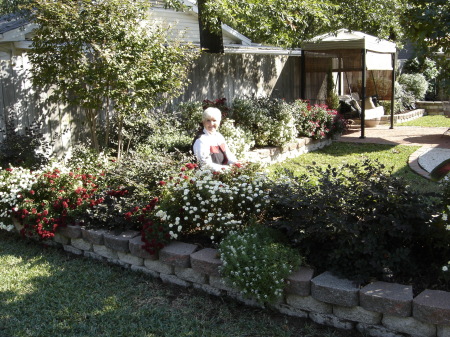 Patio Gardens