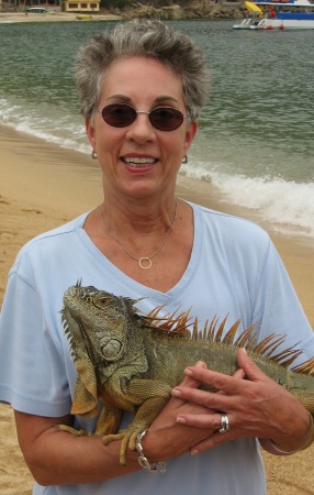 Mexican Iguana