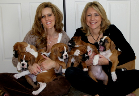 Teri Pingree and Tricia with Tricia's Boxer pups