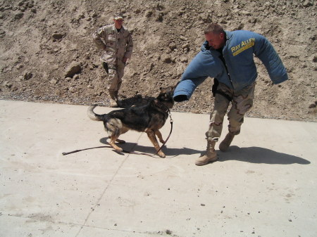 K-9 Training in Baghdad