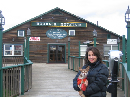 We wish we could quit you! <Hogback MT. Vermont>