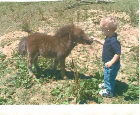 Boy & his horse